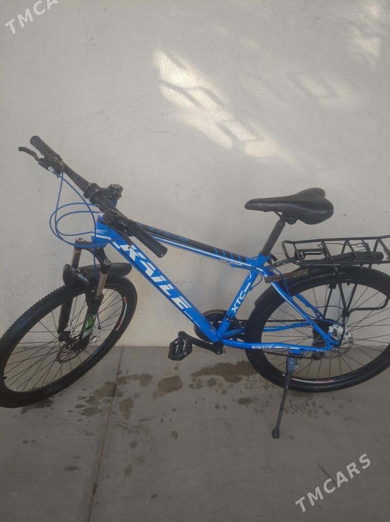 tigir - Bagyr - img 3