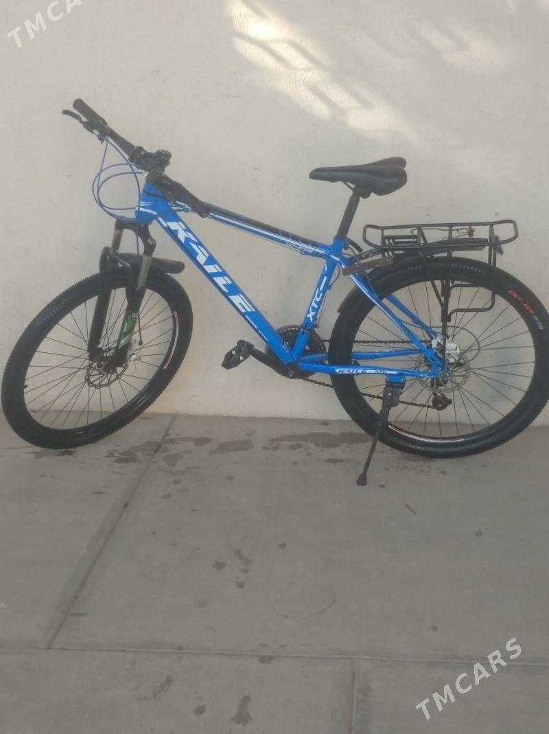 tigir - Bagyr - img 2