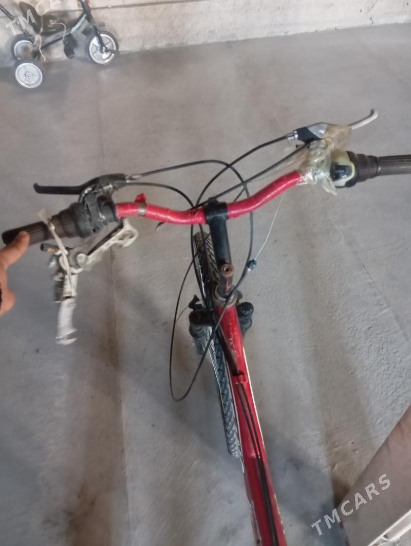 тазе весепид - Фарап - img 2