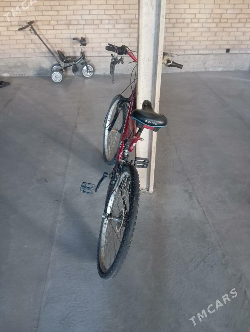 тазе весепид - Фарап - img 5