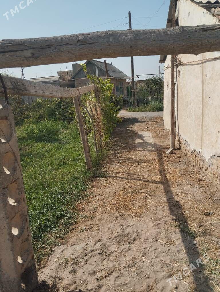 karamyans daça - Türkmenabat - img 3