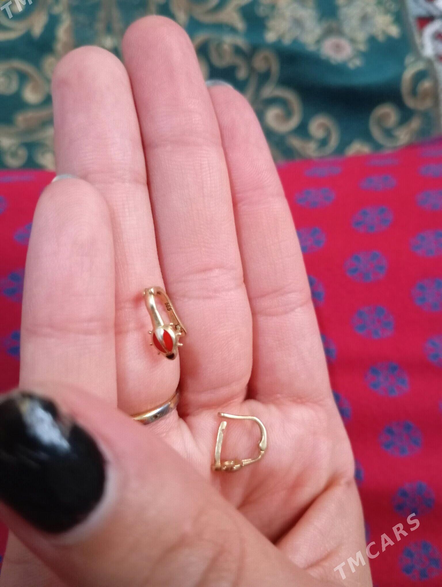 Gyzyl gulakhalka - Gyzylarbat - img 3