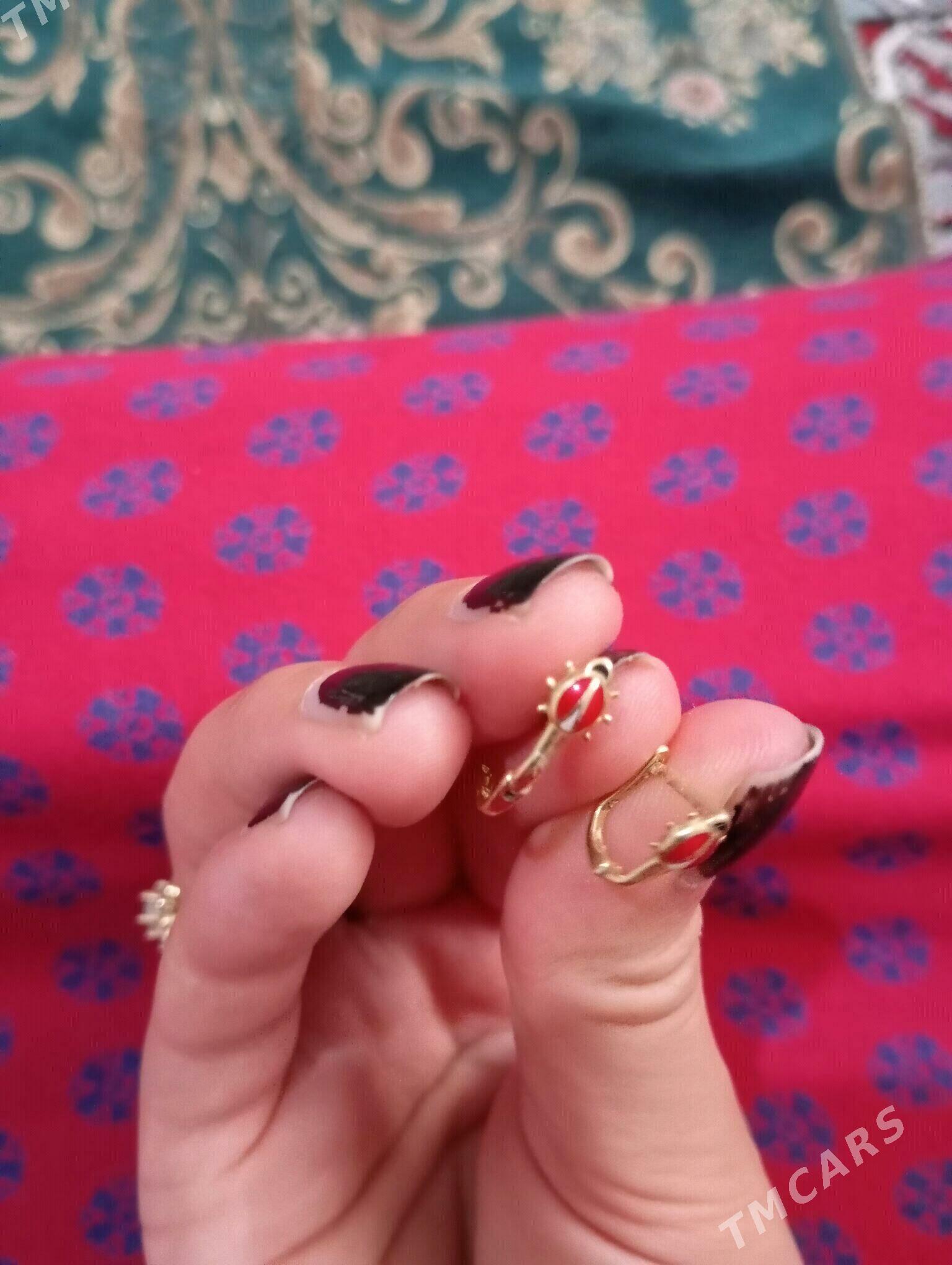 Gyzyl gulakhalka - Gyzylarbat - img 2