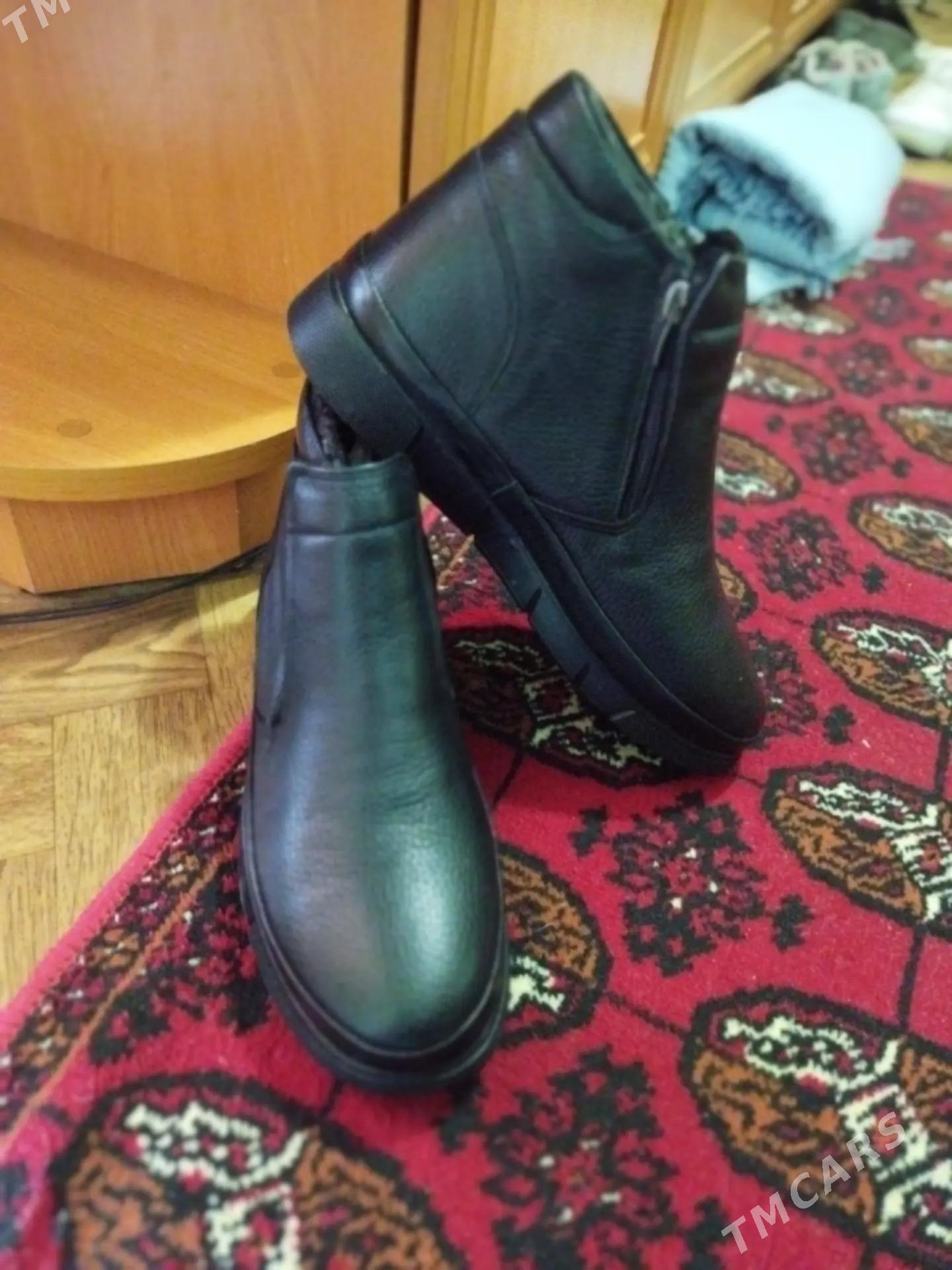 mujuskoy edik - Türkmenabat - img 2