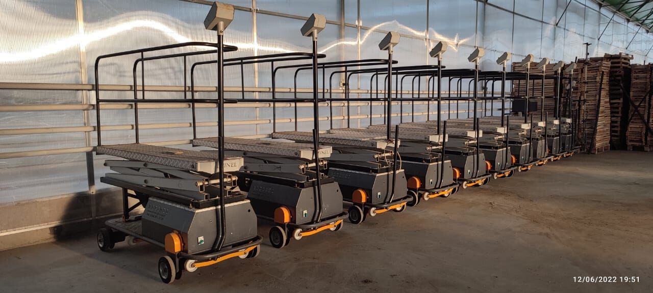 Ýyladyşhana Teplisa Теплица - Ашхабад - img 10