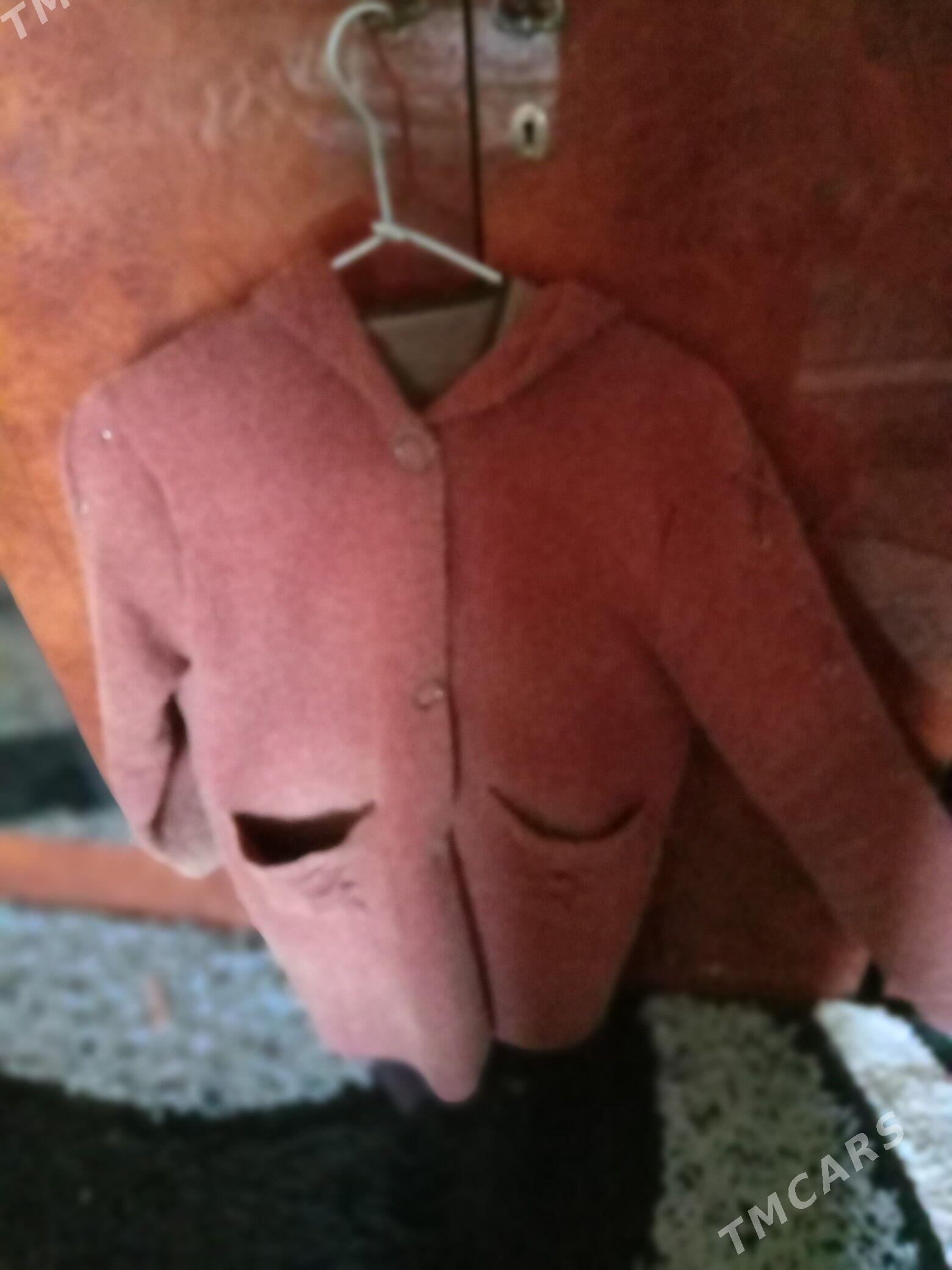 jemir - Köneürgenç - img 2