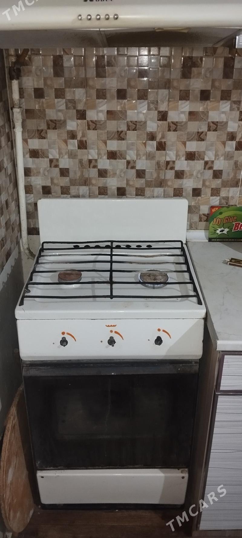 orsyn gazy - Mary - img 2