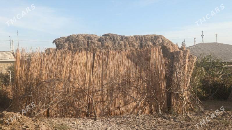 ot - Darganata - img 1