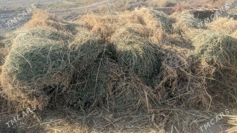 ot - Darganata - img 5