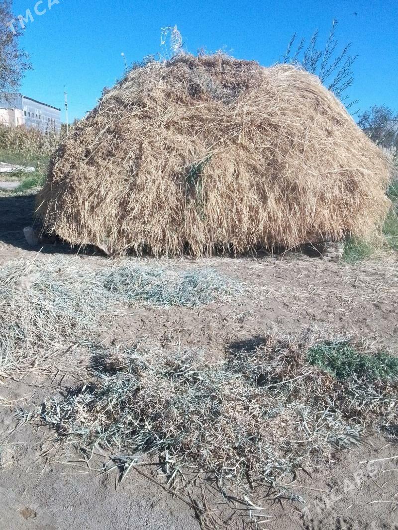 haşal ot.. - Mary - img 1