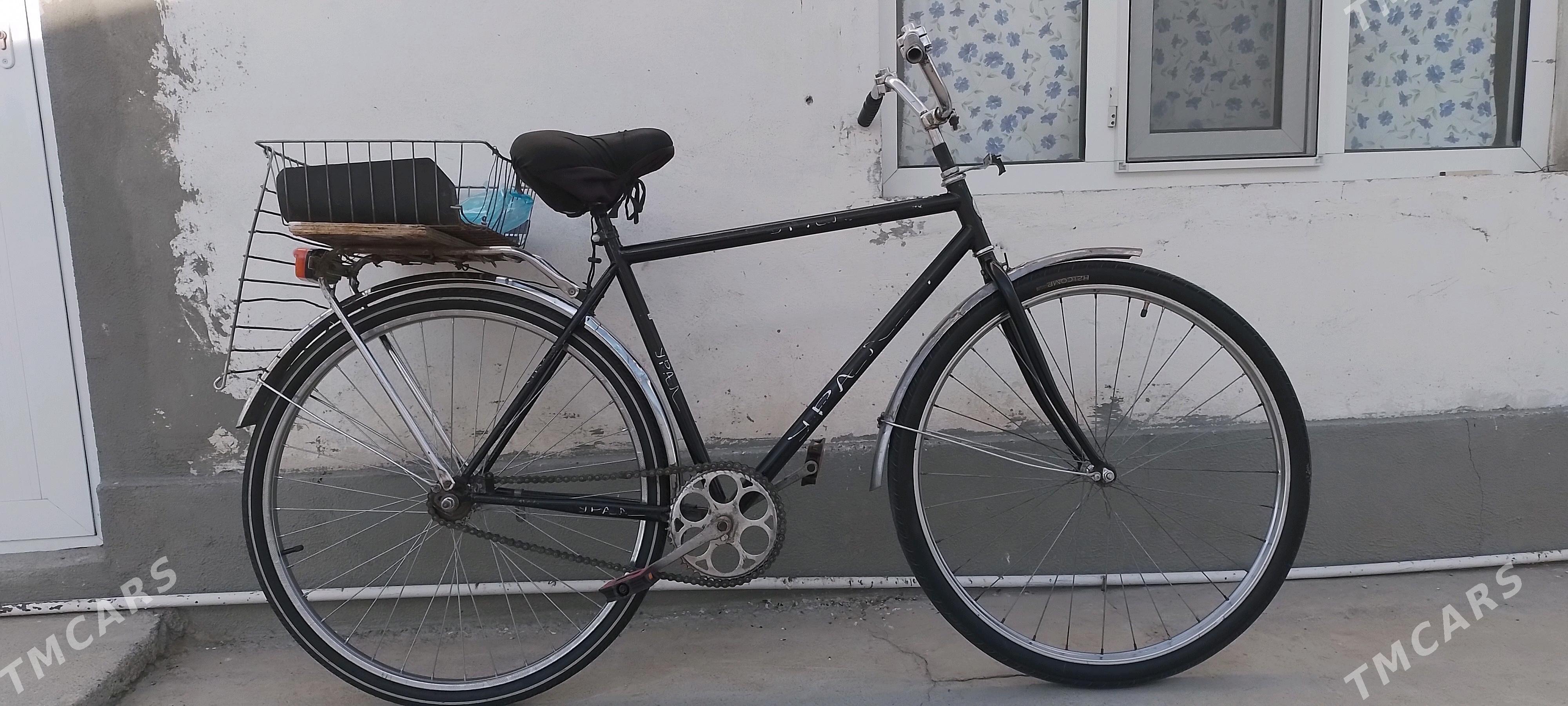 Ural tigir - Херрикгала - img 1