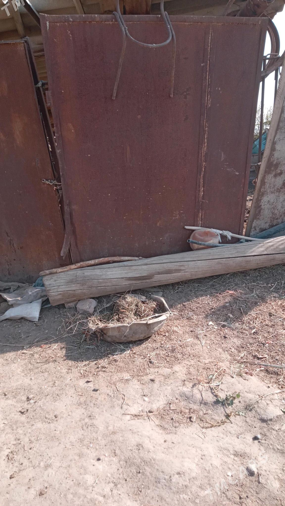 Demir lyst - Векильбазар - img 2