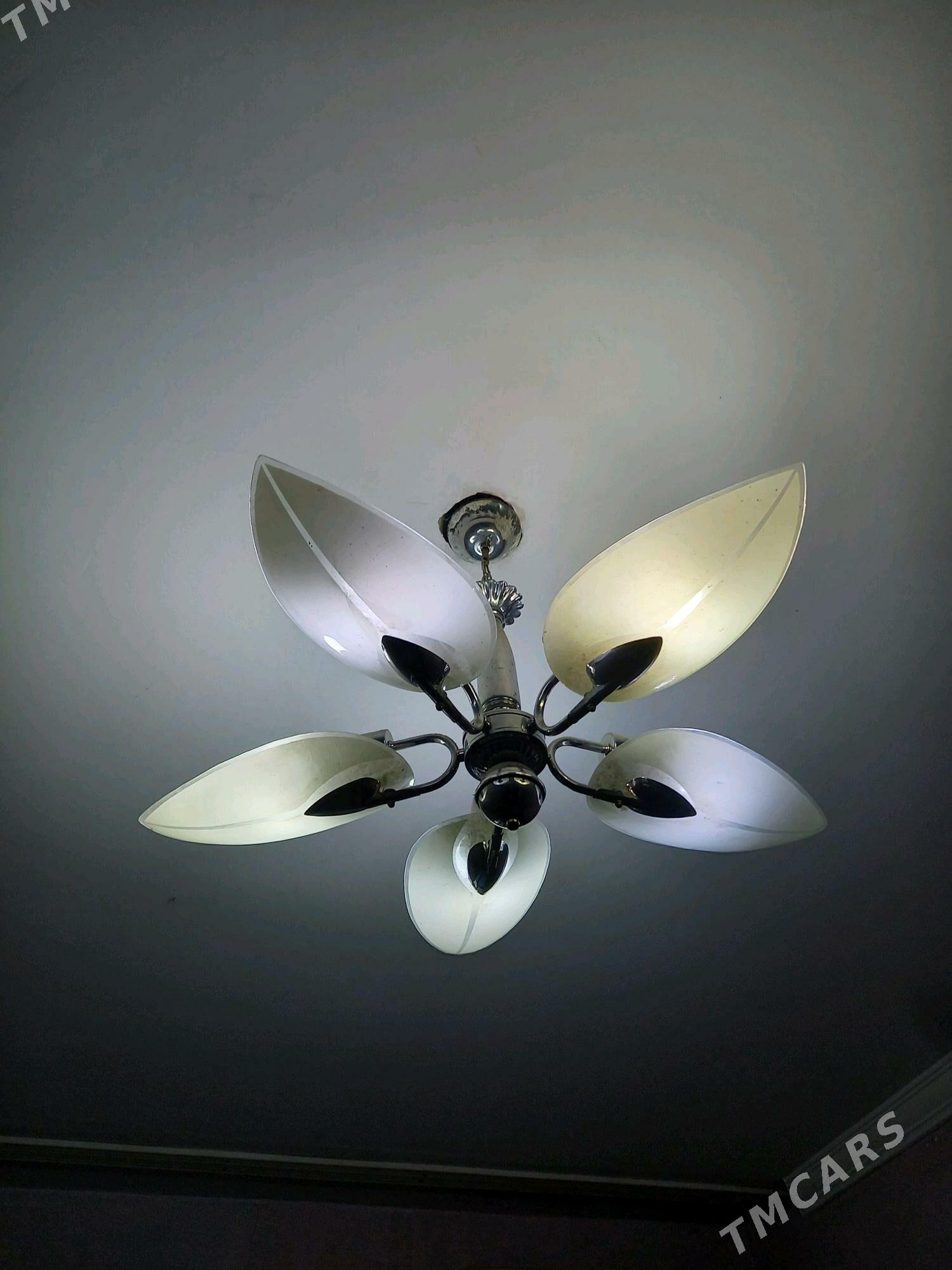 öý goşlary - Türkmenabat - img 3