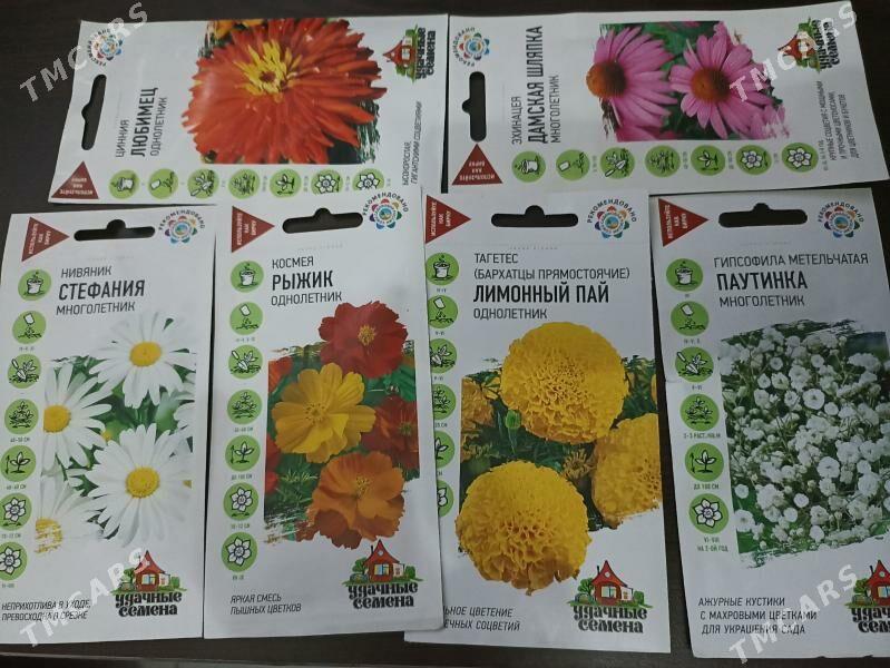 гул gul tohum тохум - Янбаш - img 1