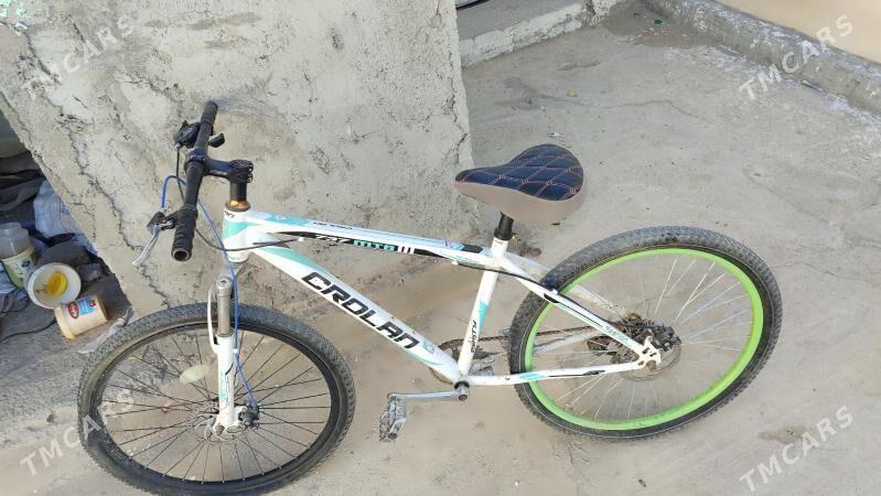 welik - Balkanabat - img 3