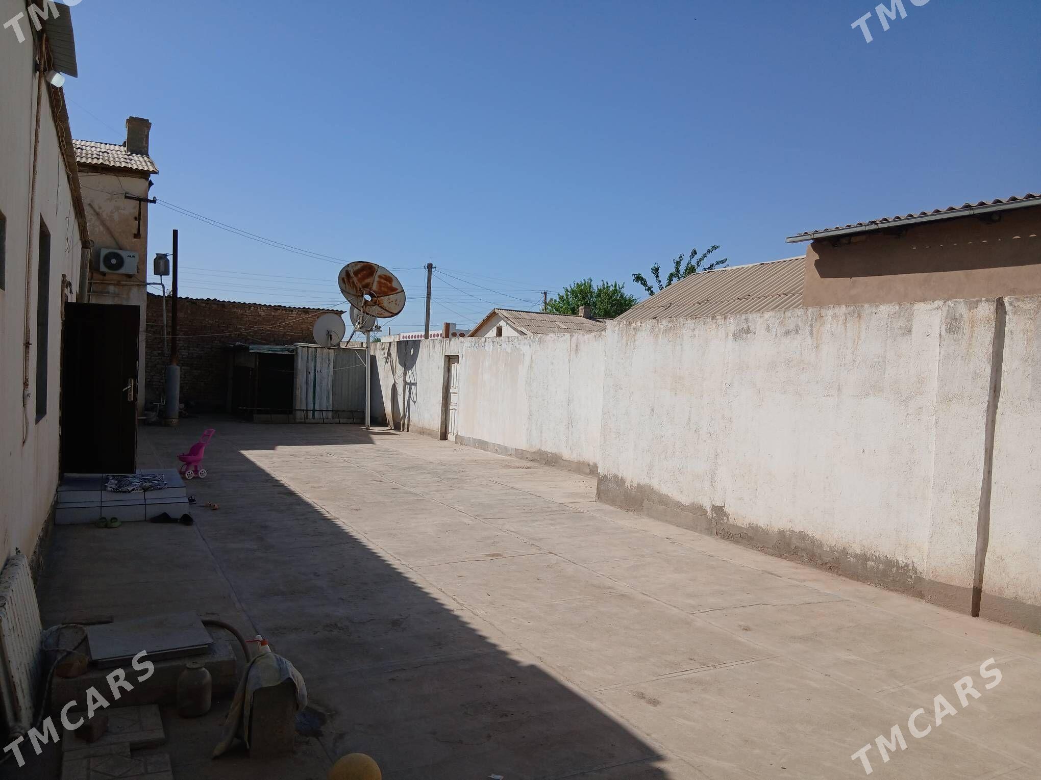 cay - Tejen - img 10