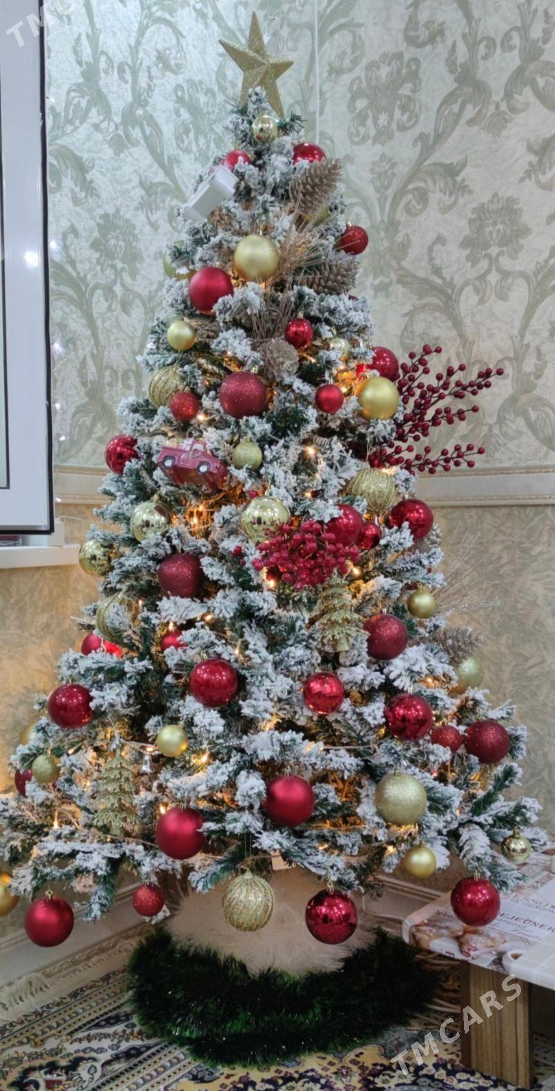 Ёлка - Aşgabat - img 1