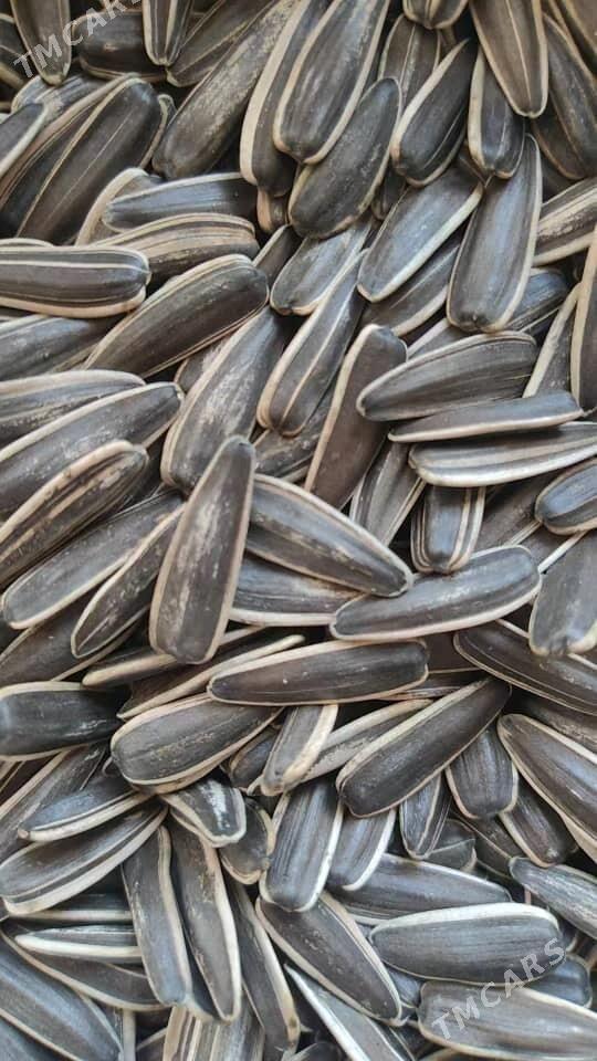 Hytaÿ çigidi - Туркменабат - img 1