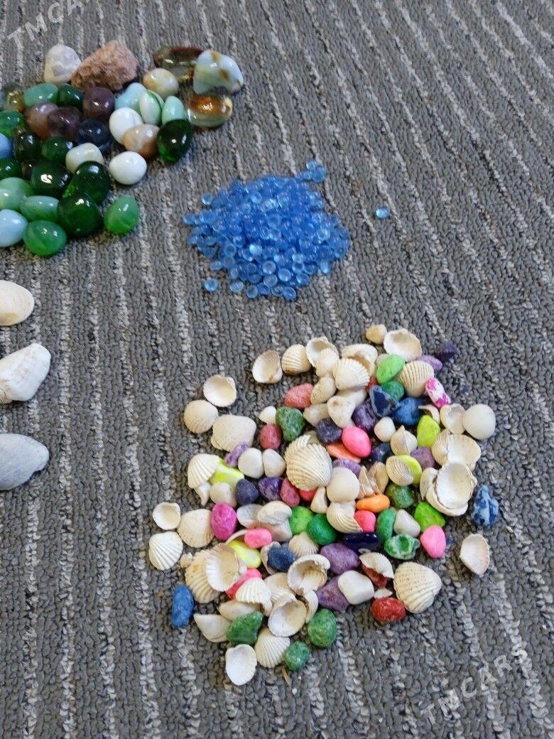 КАМНИ ДЛЯ АКВАРИУМА - Türkmenabat - img 1