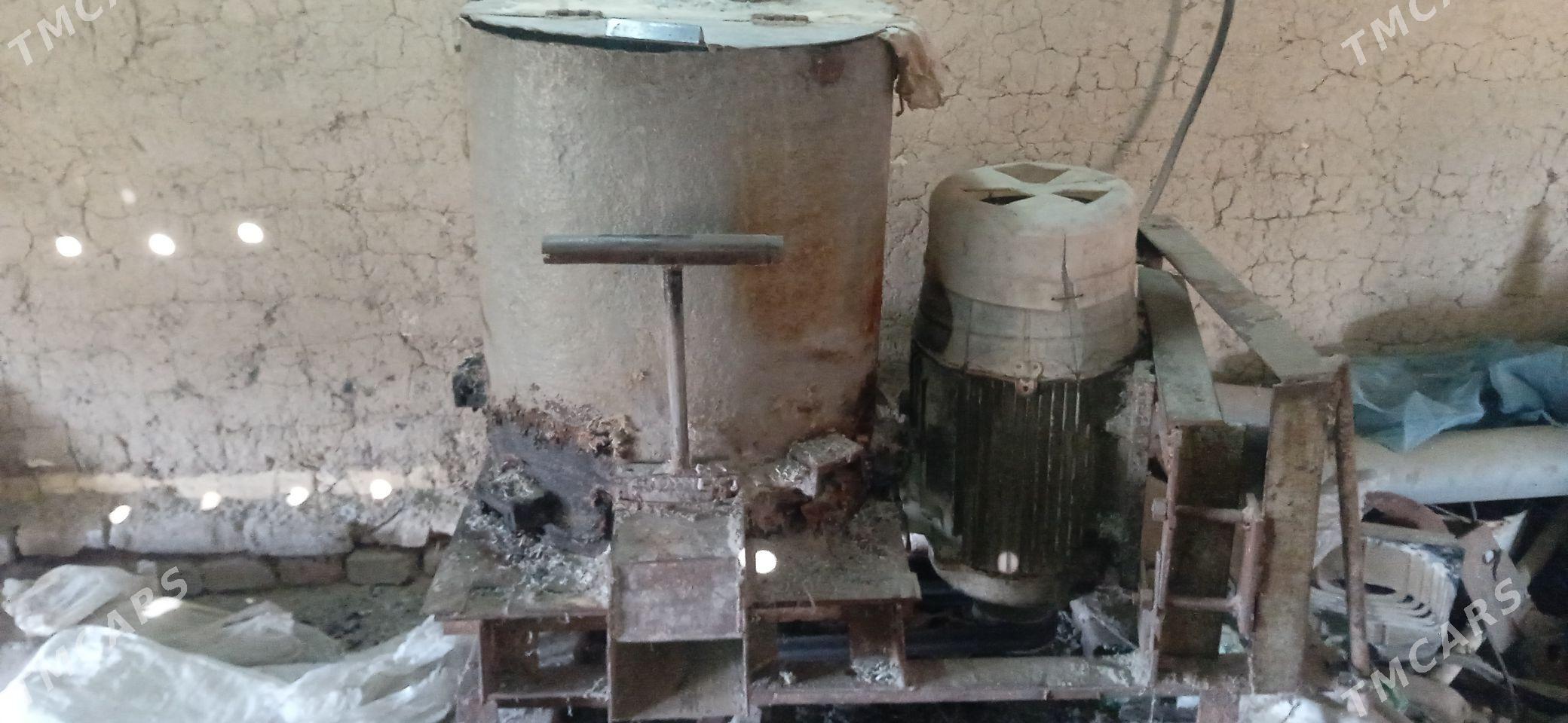 Dirabilka - Мургап - img 1