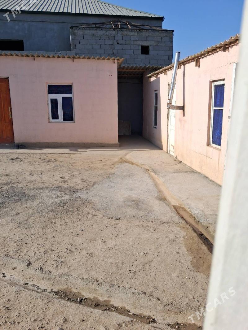 Kireyine jaylar - Багир - img 2