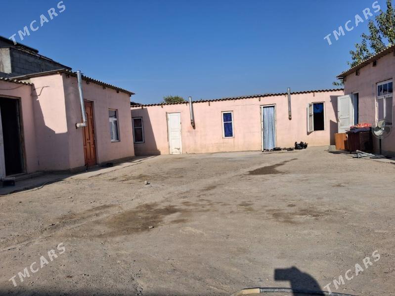 Kireyine jaylar - Багир - img 1