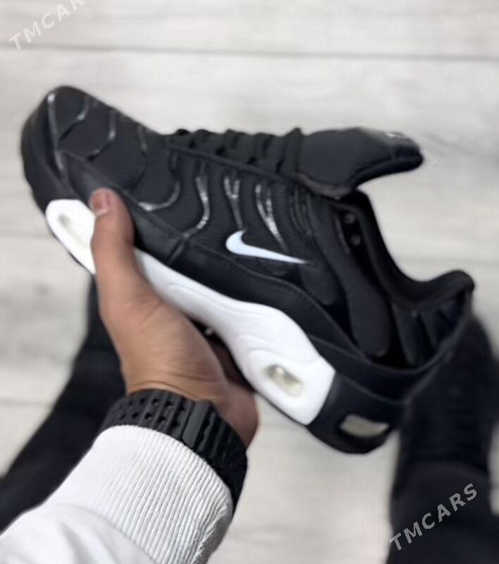 tn krasowka - Ашхабад - img 2