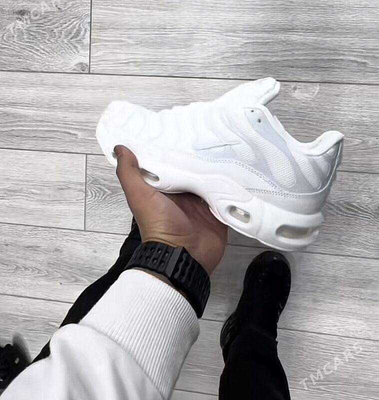 tn krasowka - Ашхабад - img 4