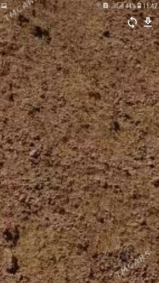 deres - Bäherden - img 2