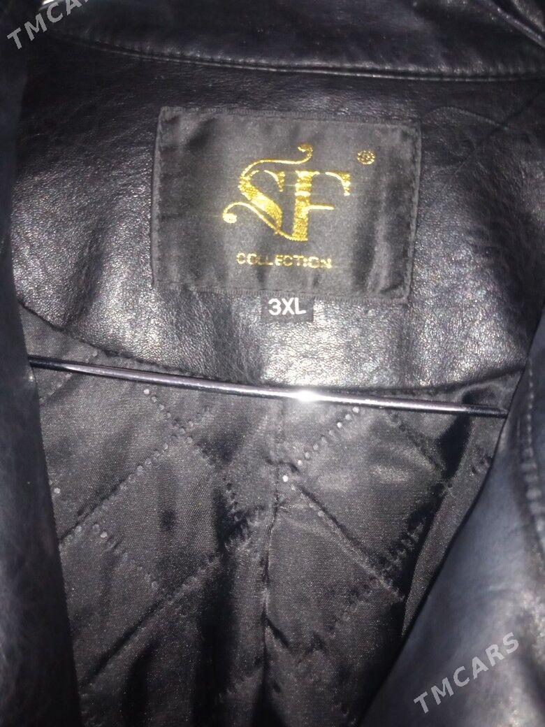 kurtgalar - Gubadag - img 9