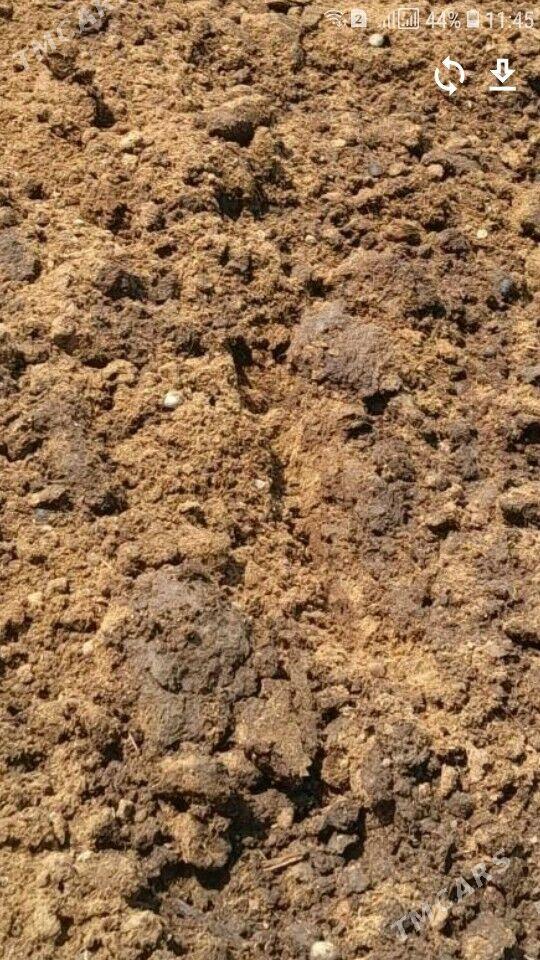 deres - Bäherden - img 1