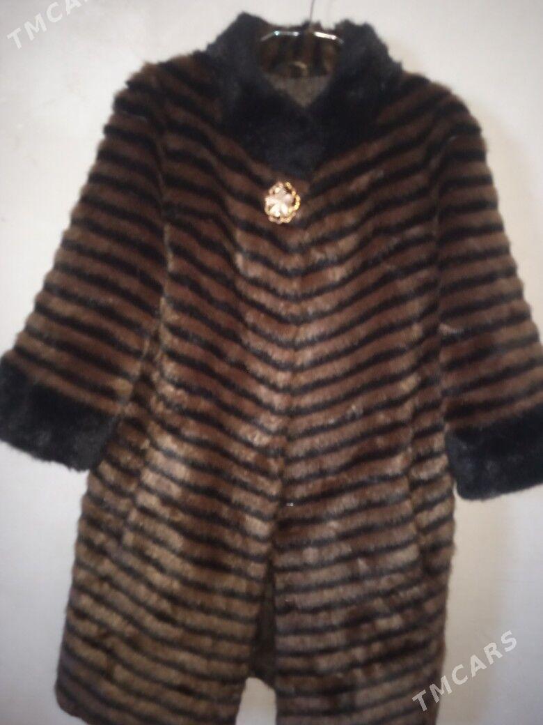 kurtgalar - Gubadag - img 3