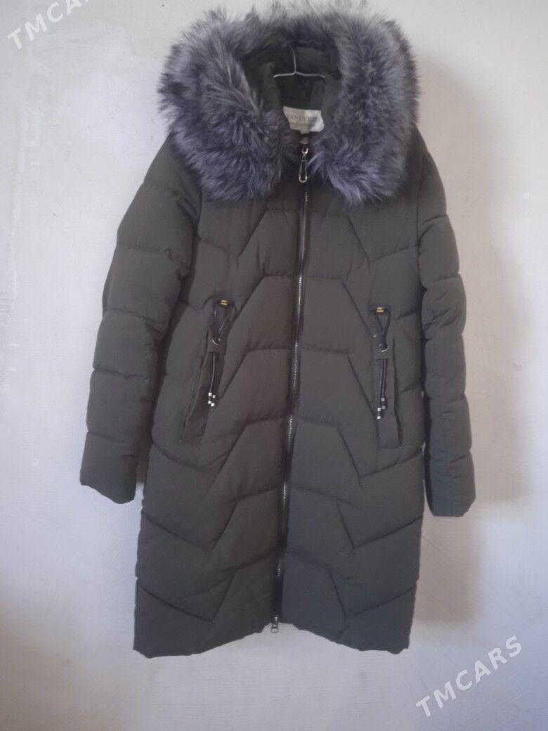 kurtgalar - Gubadag - img 4