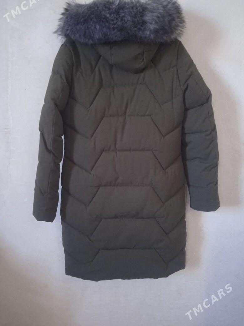 kurtgalar - Gubadag - img 5