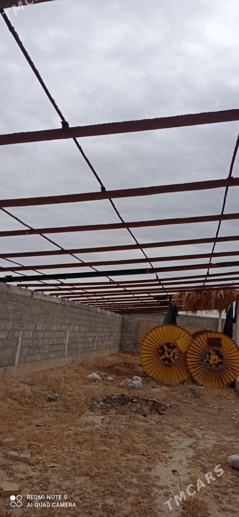 Turba pacak - Kaka - img 4