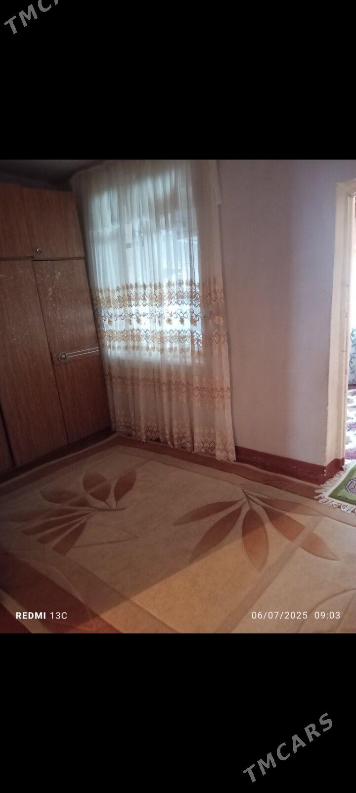 Tejen jay - Tejen - img 3