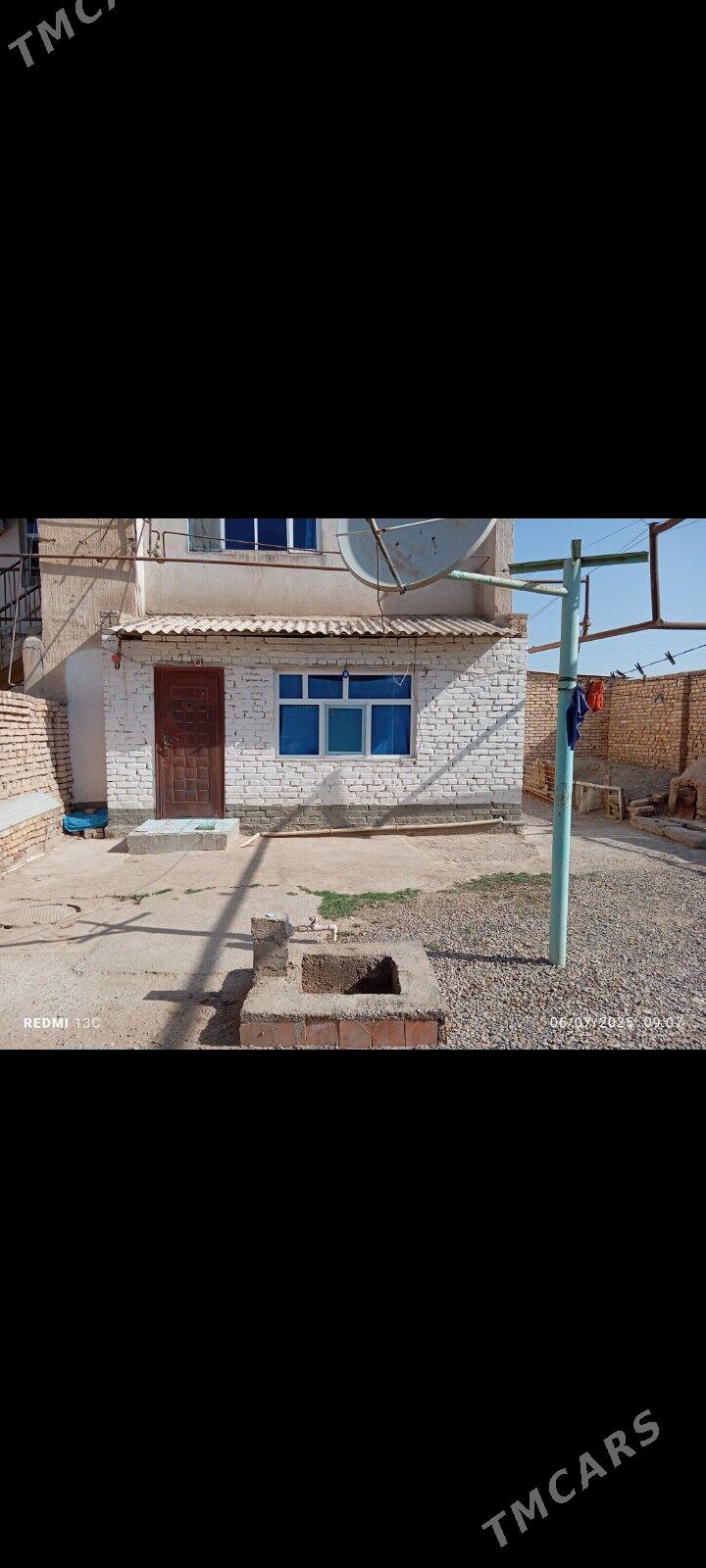 Tejen jay - Tejen - img 6