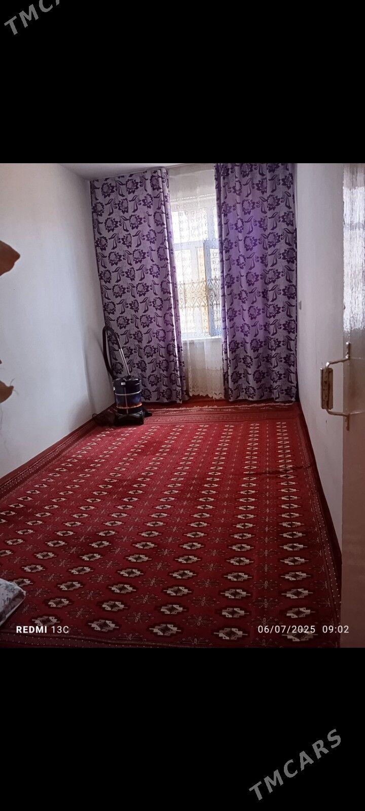 Tejen jay - Tejen - img 2