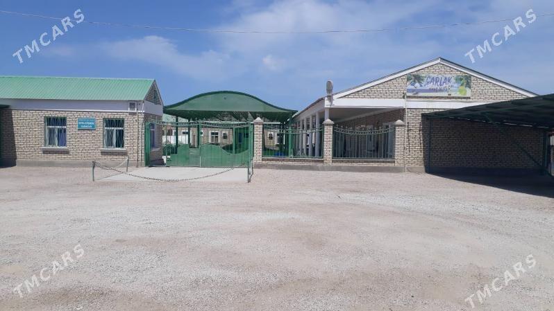 Baza - Хазар - img 2