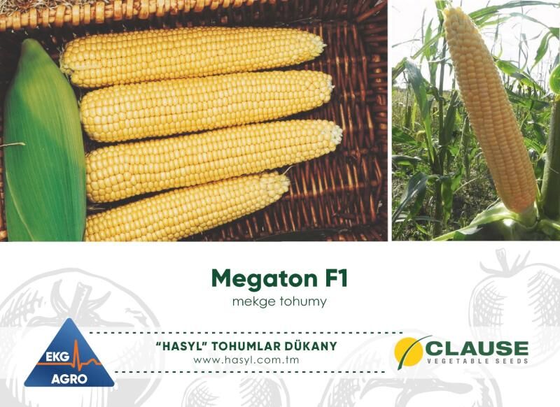 EKG AGRO (tohumlar we gazon) - Ашхабад - img 8