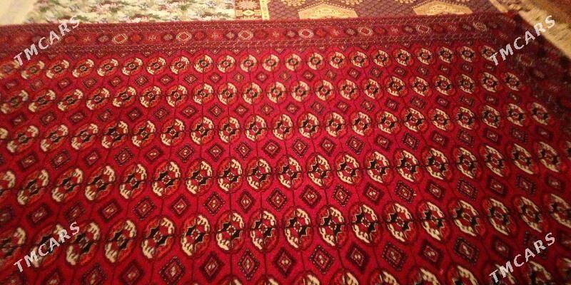 Türkmen haly - Гызыларбат - img 2