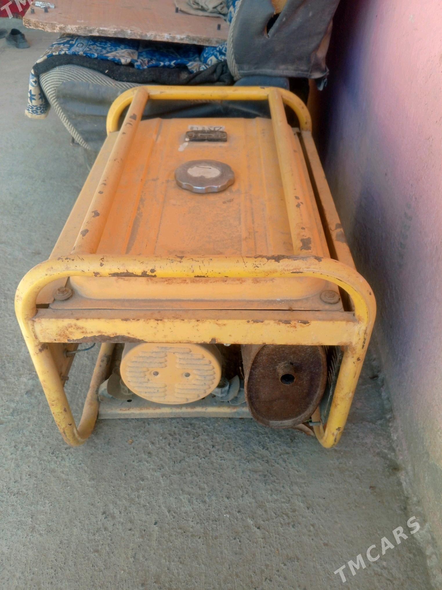 diwižok - Ýaşlyk - img 2