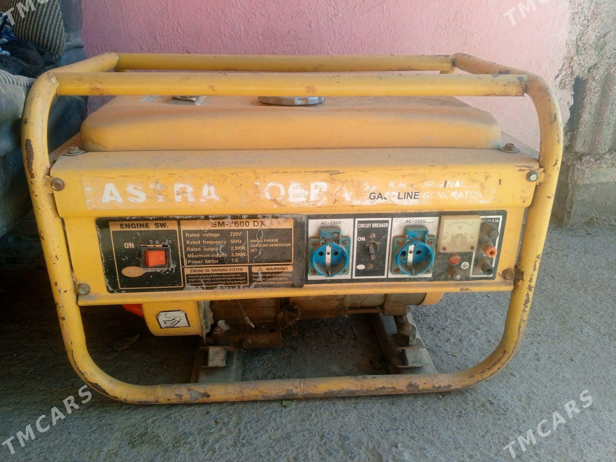 diwižok - Ýaşlyk - img 3