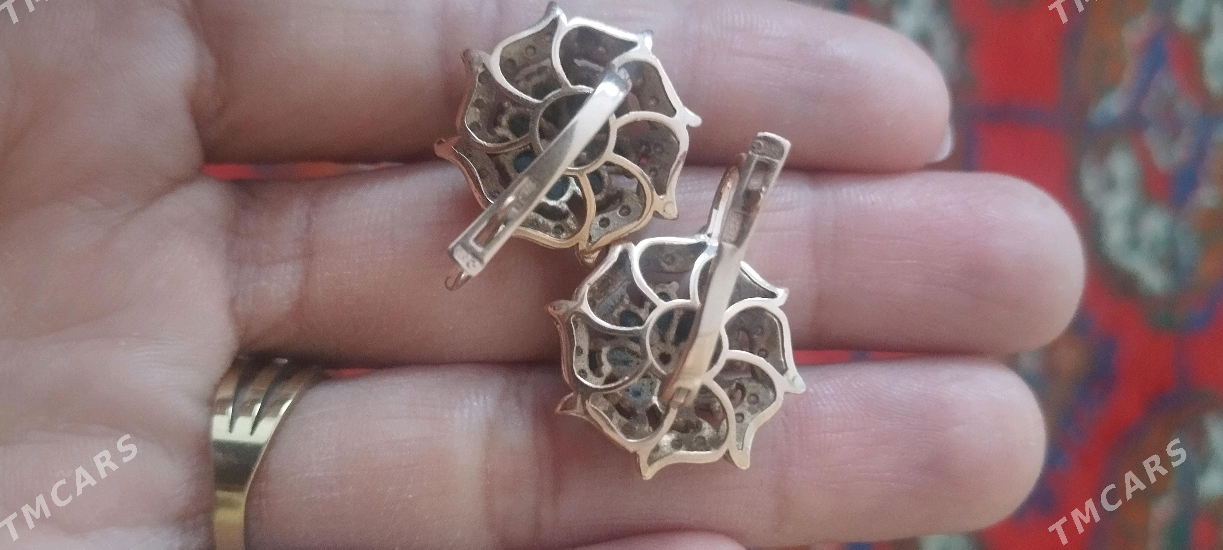 Gyzyl gulakhalka - Tejen - img 2