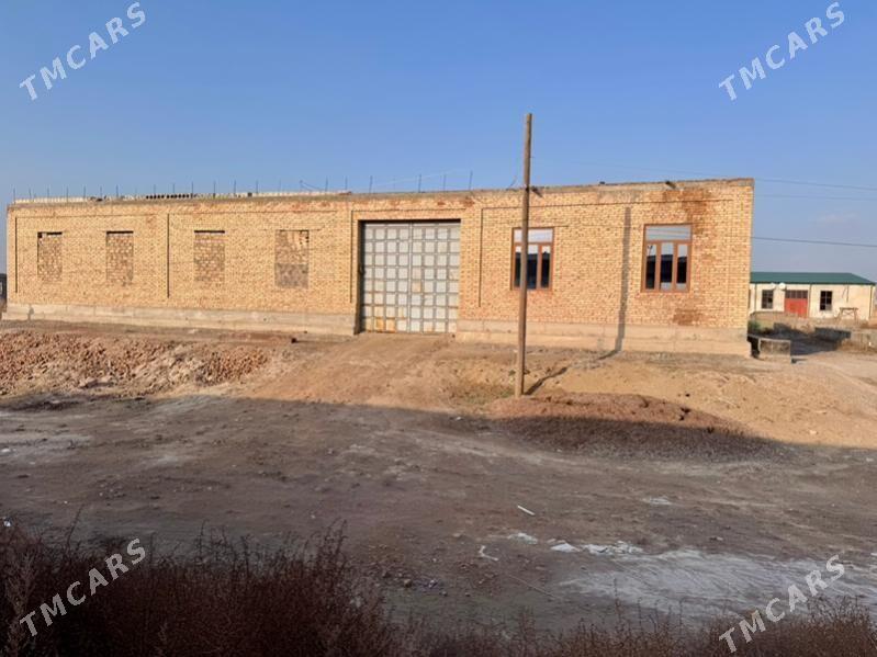 Satlyk Mellek - Туркменабат - img 3