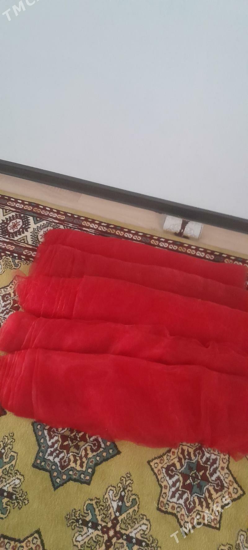 toy bezegi - Türkmenbaşy - img 4