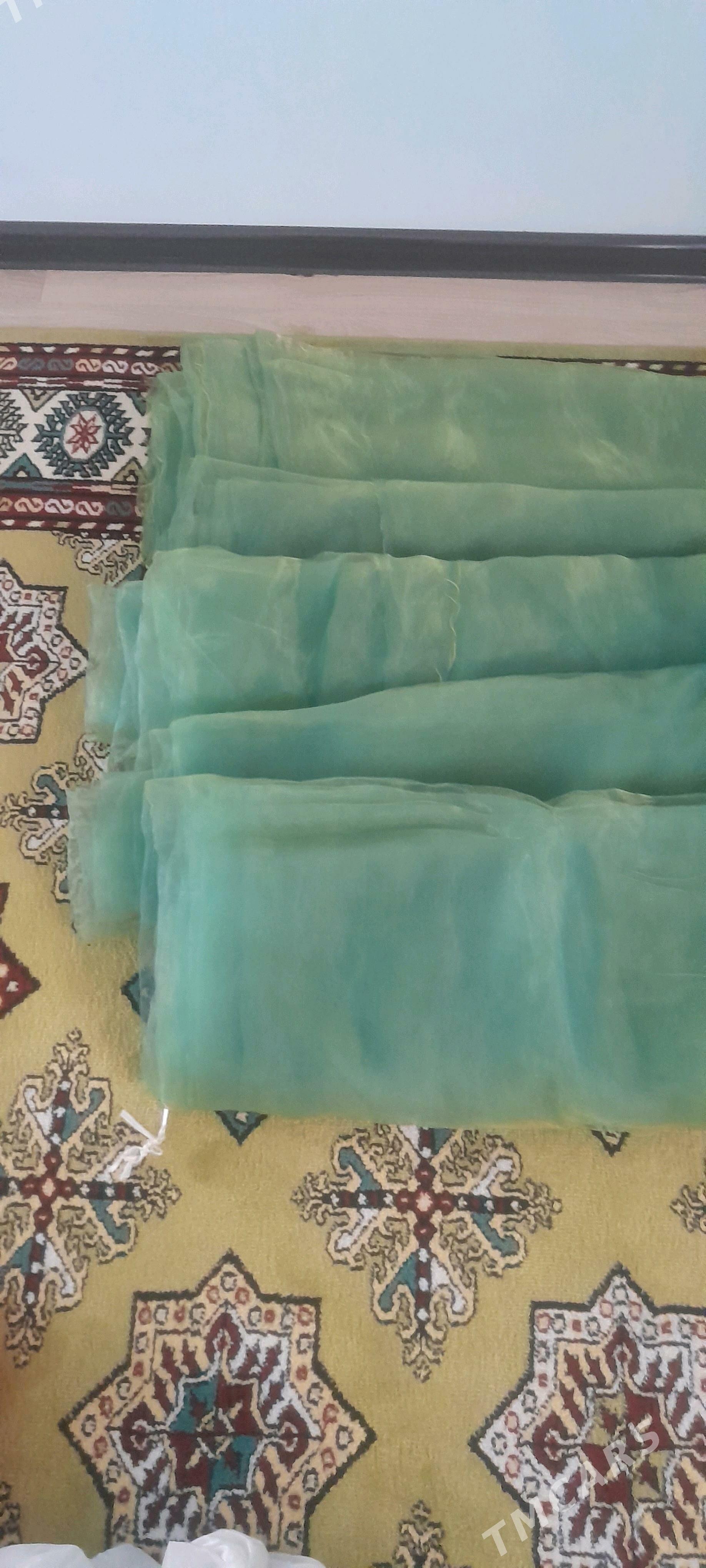 toy bezegi - Türkmenbaşy - img 5