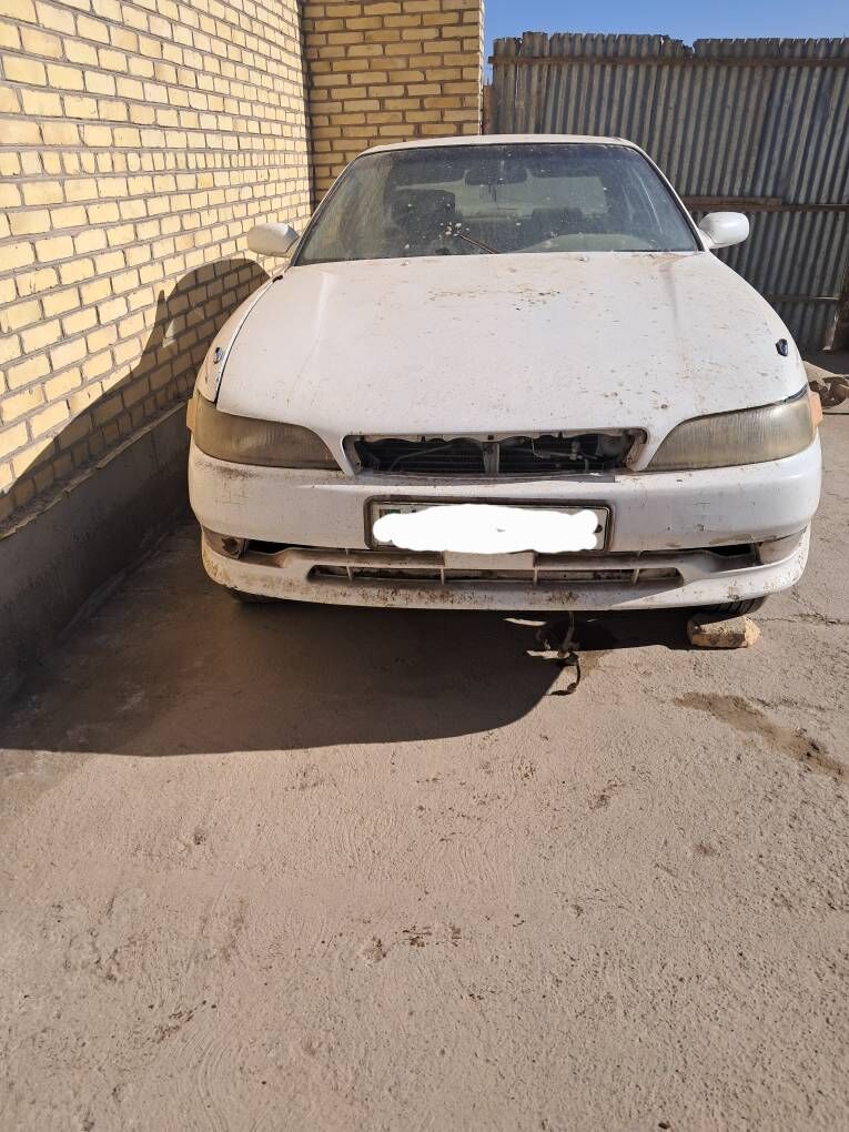 Mark 10 000 TMT - Фарап - img 1