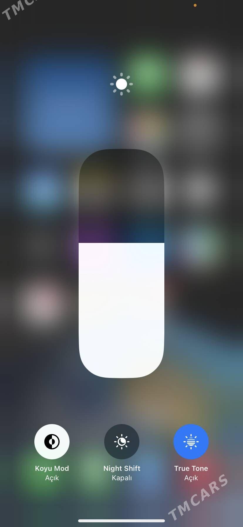 Apple - Сакарчага - img 6