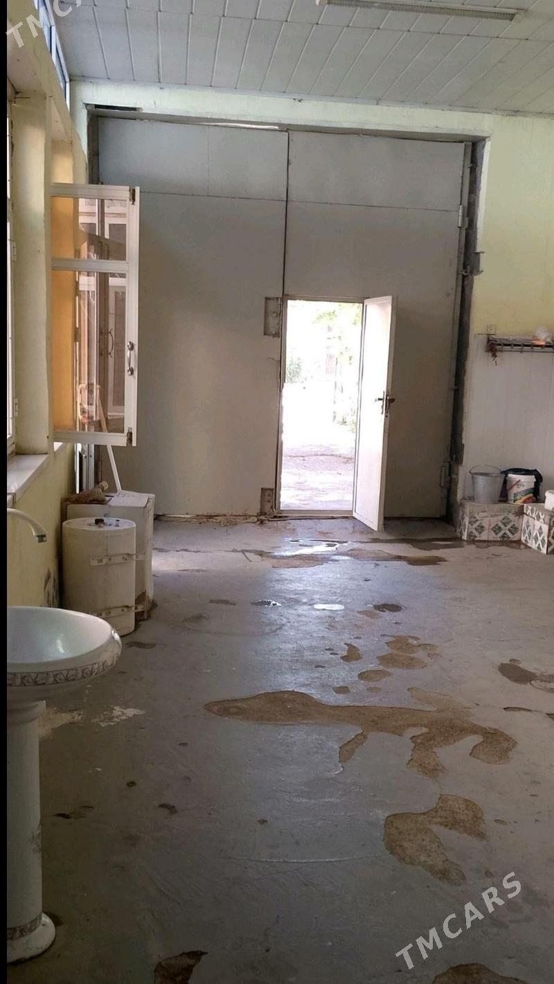   HOVLY   - Туркменабат - img 3